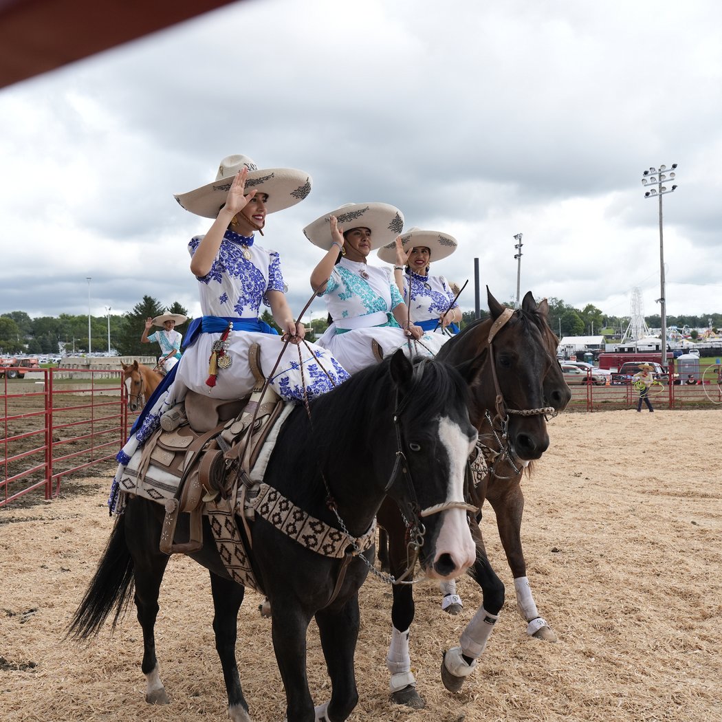 PRCA Pro Rodeo 4